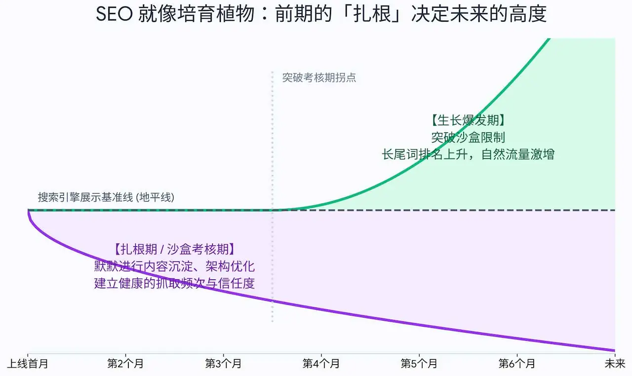 SEO 像培育植物：前期扎根决定未来高度图解